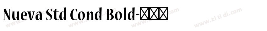 Nueva Std Cond Bold字体转换